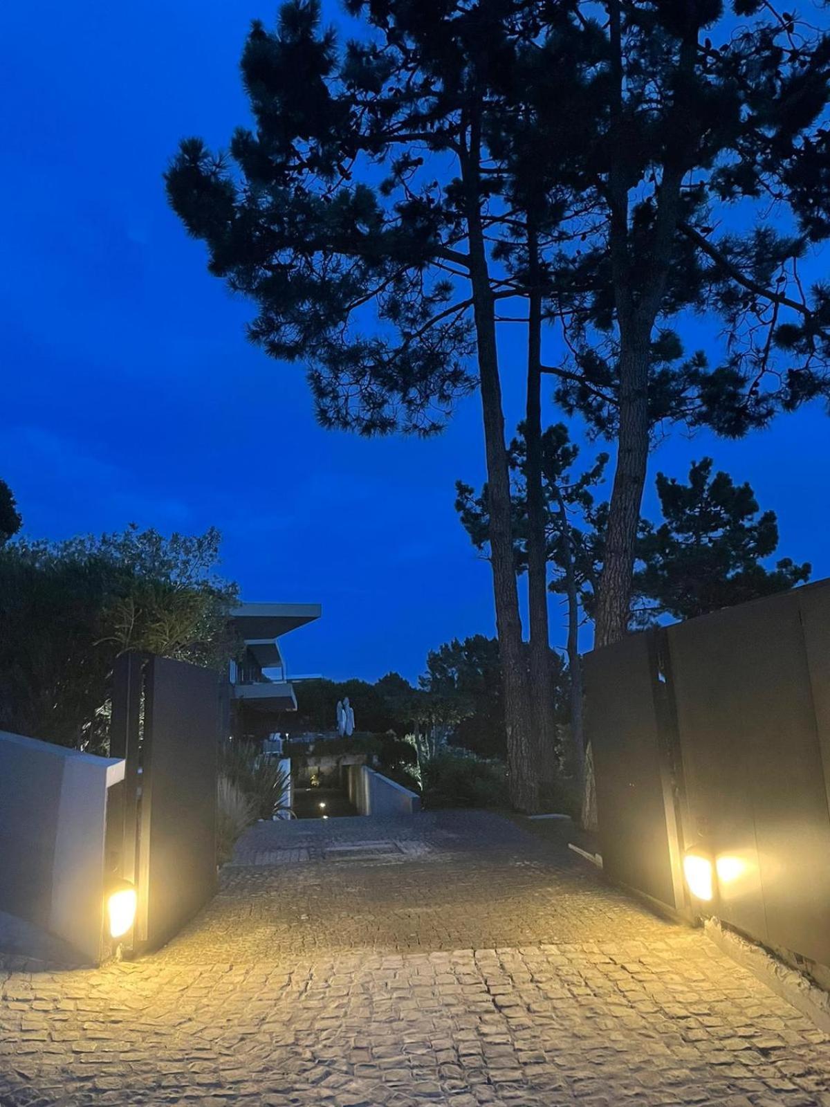 Villa Paladina Foz do Arelho Bagian luar foto